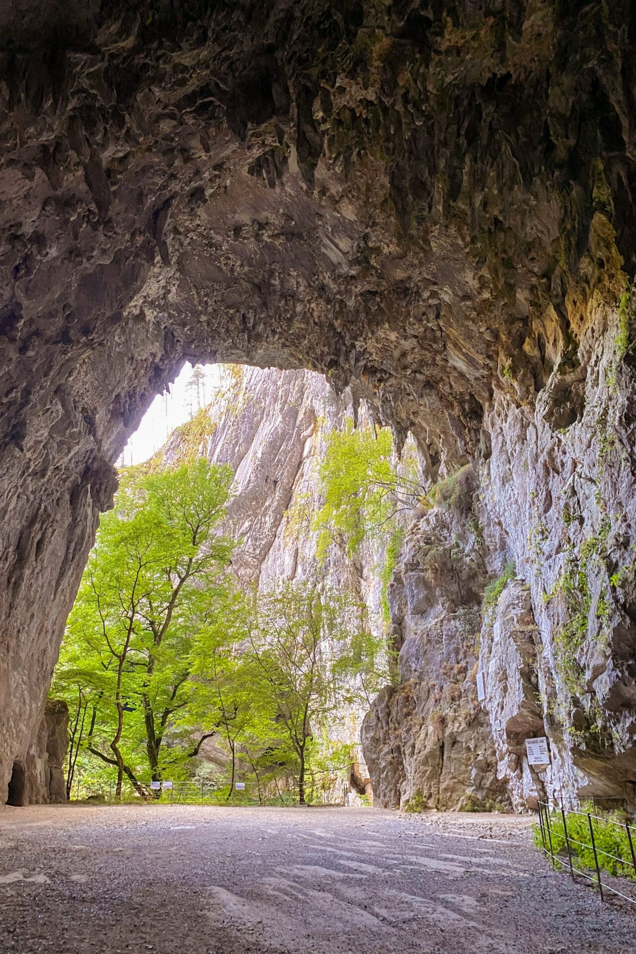 Skocjan Caves Slovenia