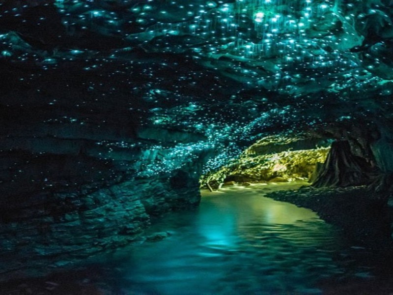 Glow-worms inside Natural Bridge Cave, Springbrook glow worms, springbrook national park