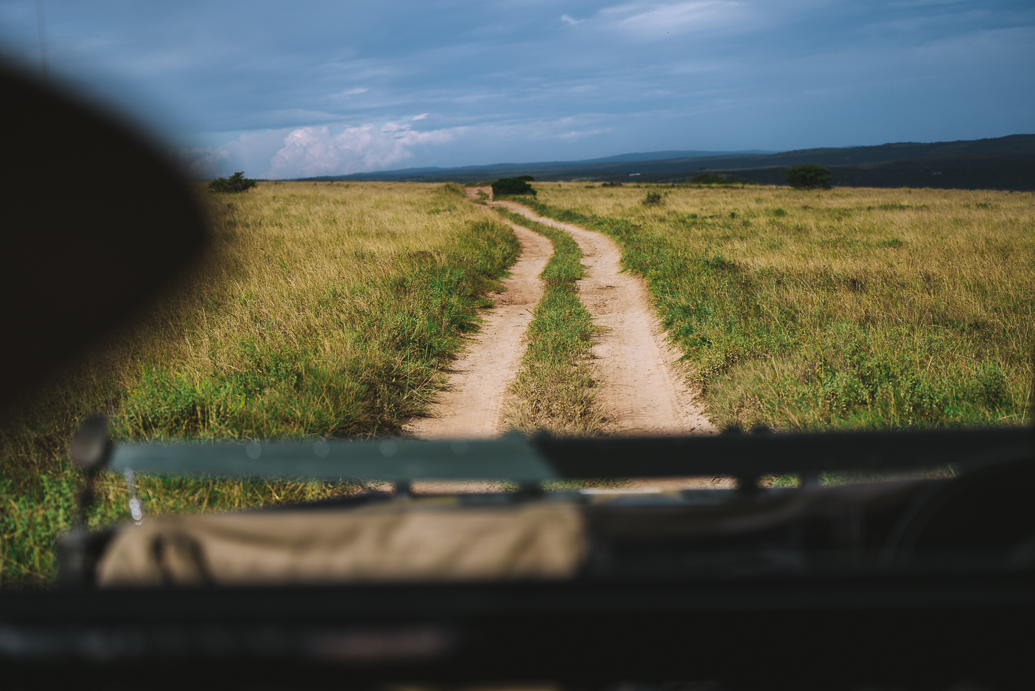 On a safari drive at Amakhala Game Reserve