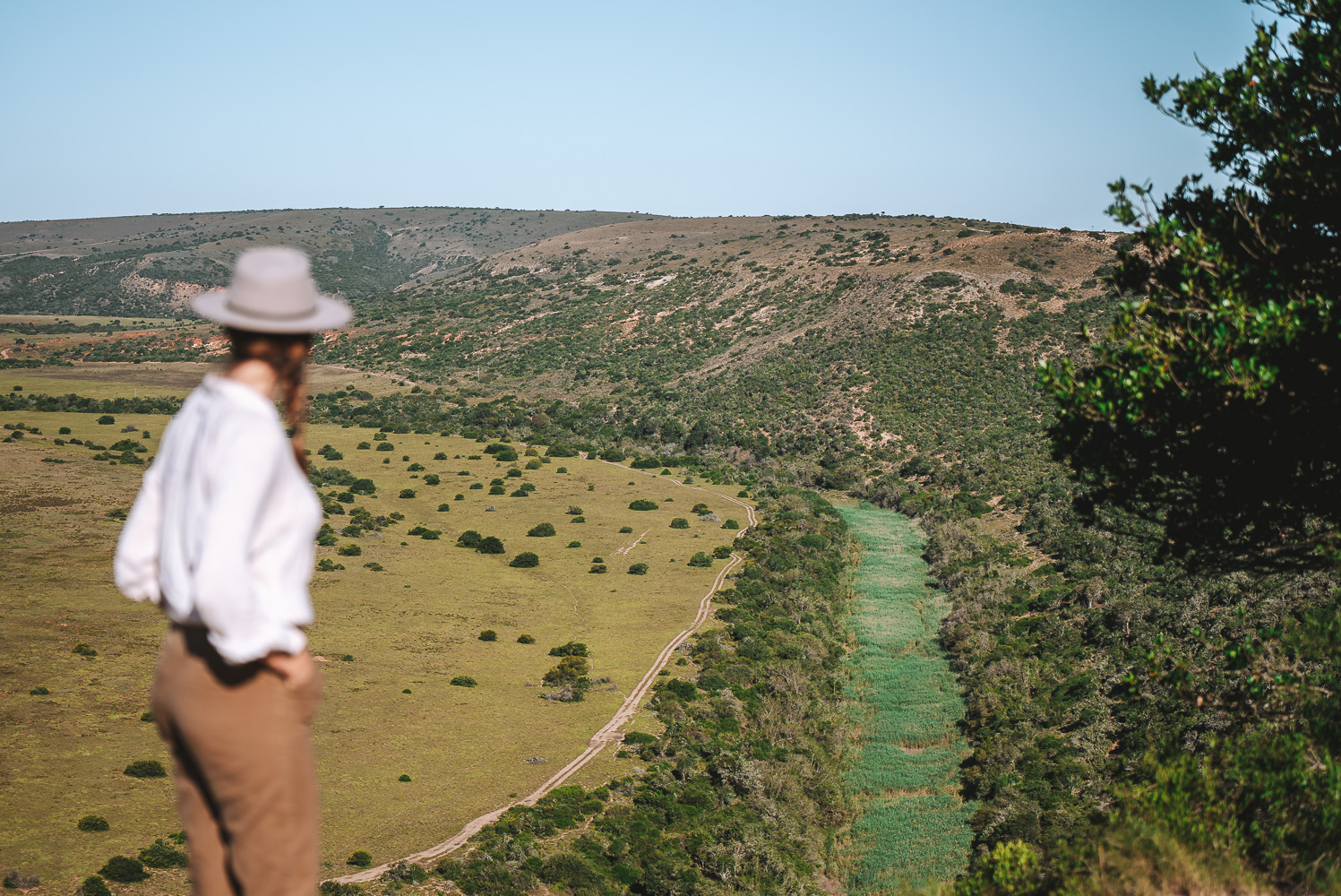 On a safari in Amakhala Private Game Reserve 