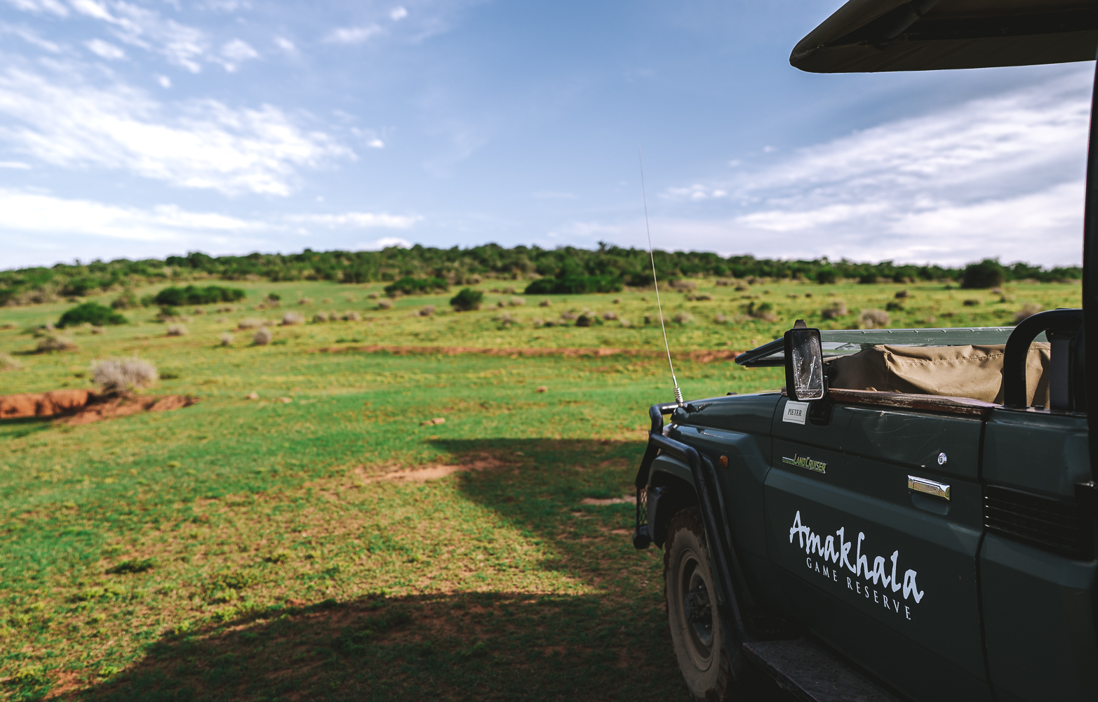 On a safari in Amakhala Private Game Reserve 