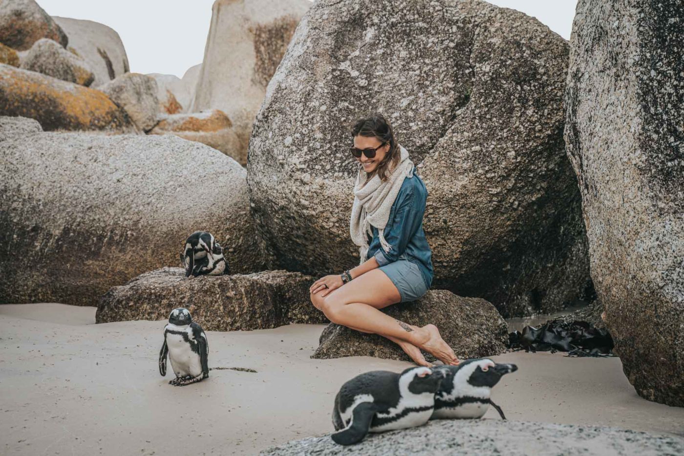 South Africa Cape Town Boulders beach penguins Oksana 09723