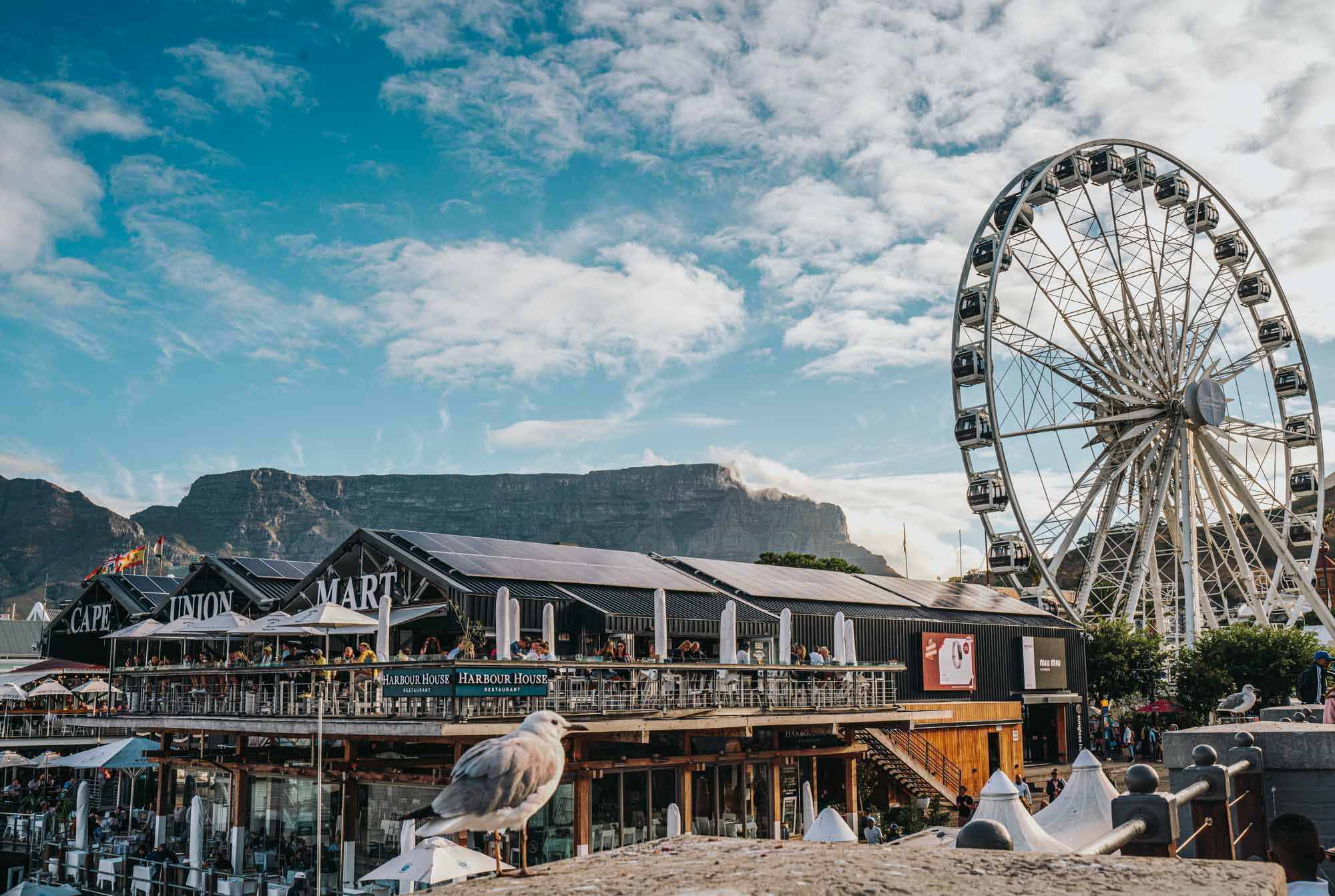 Travel: Things to do at V&A Waterfront, Cape Town : As the Bird flies  Travel, Writing, and Other Journeys