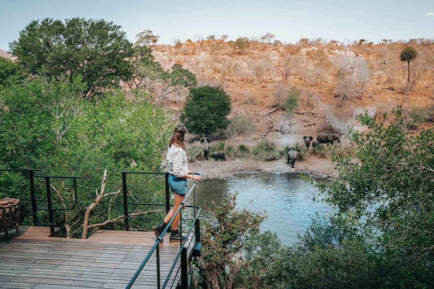 South Africa Kruger Singita Sweni river Oksana elephants 03040