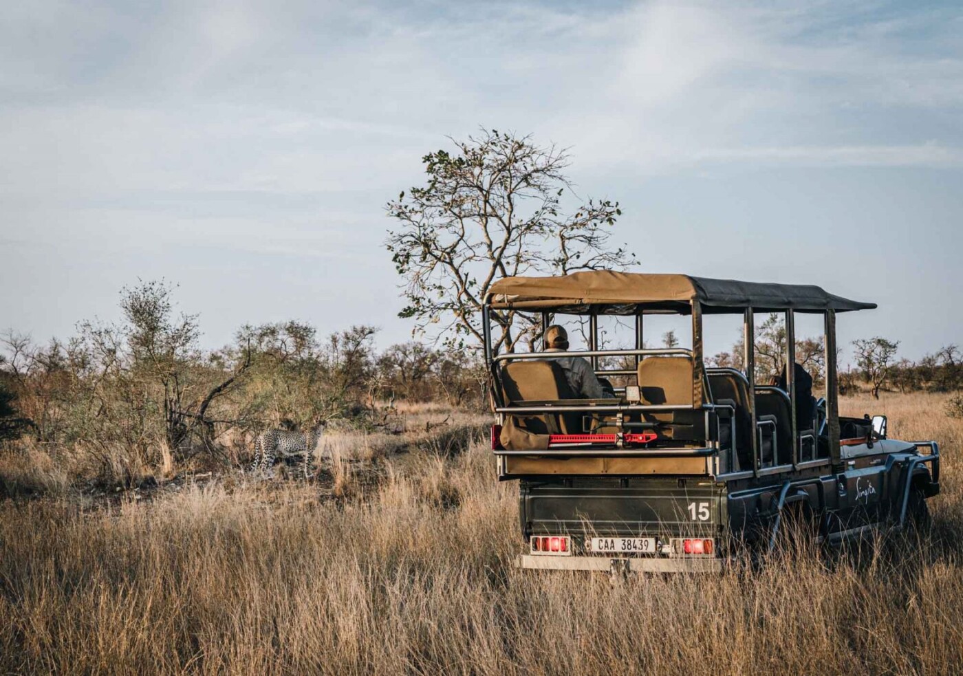 South Africa Kruger Singita safari cheetah car 02851