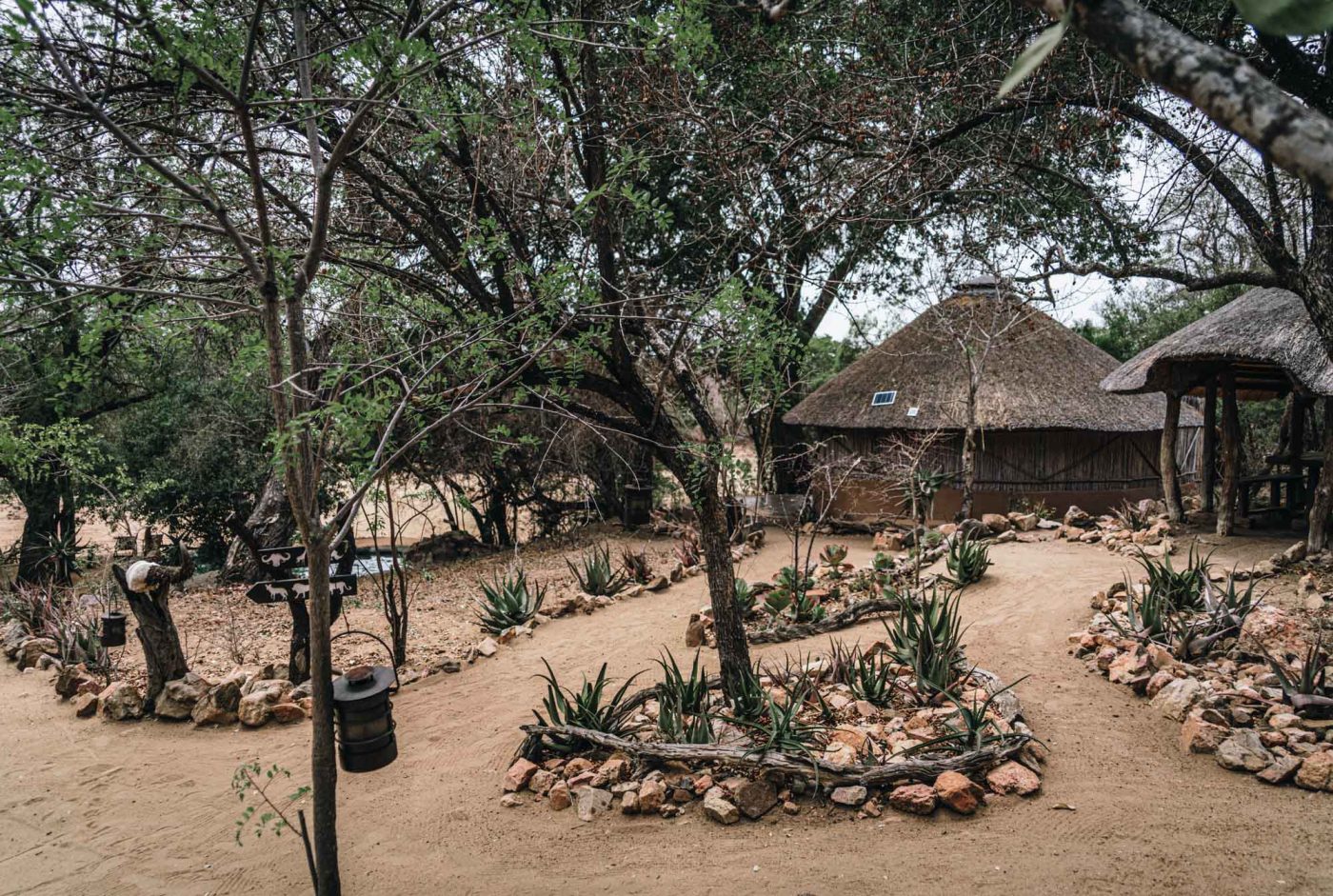 Umlani Bushcamp, Timbavati Nature Reserve