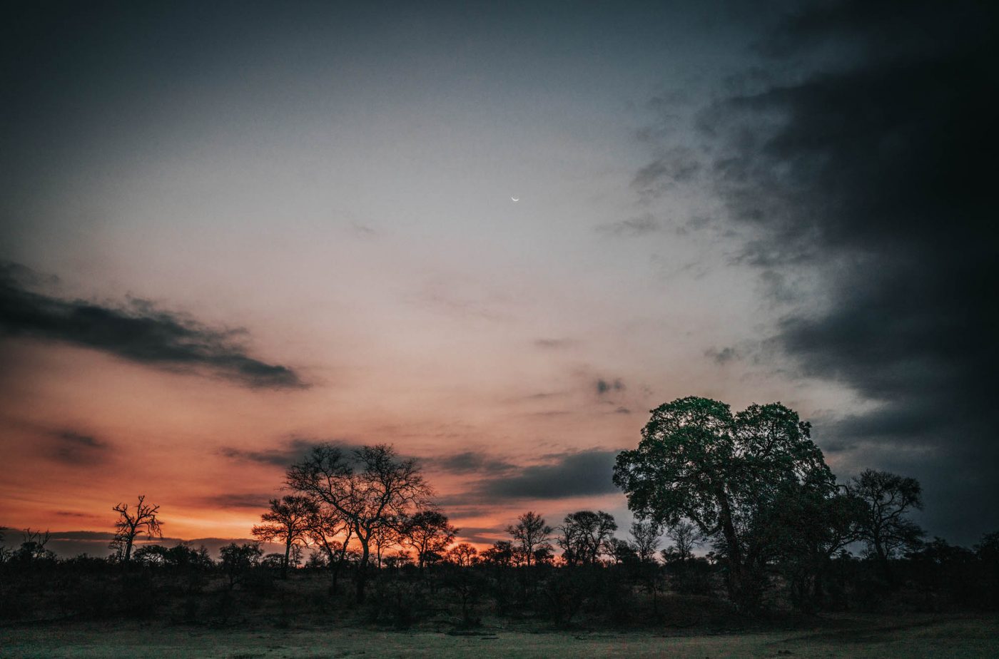 Sunset in Timbavati Nature Reserve