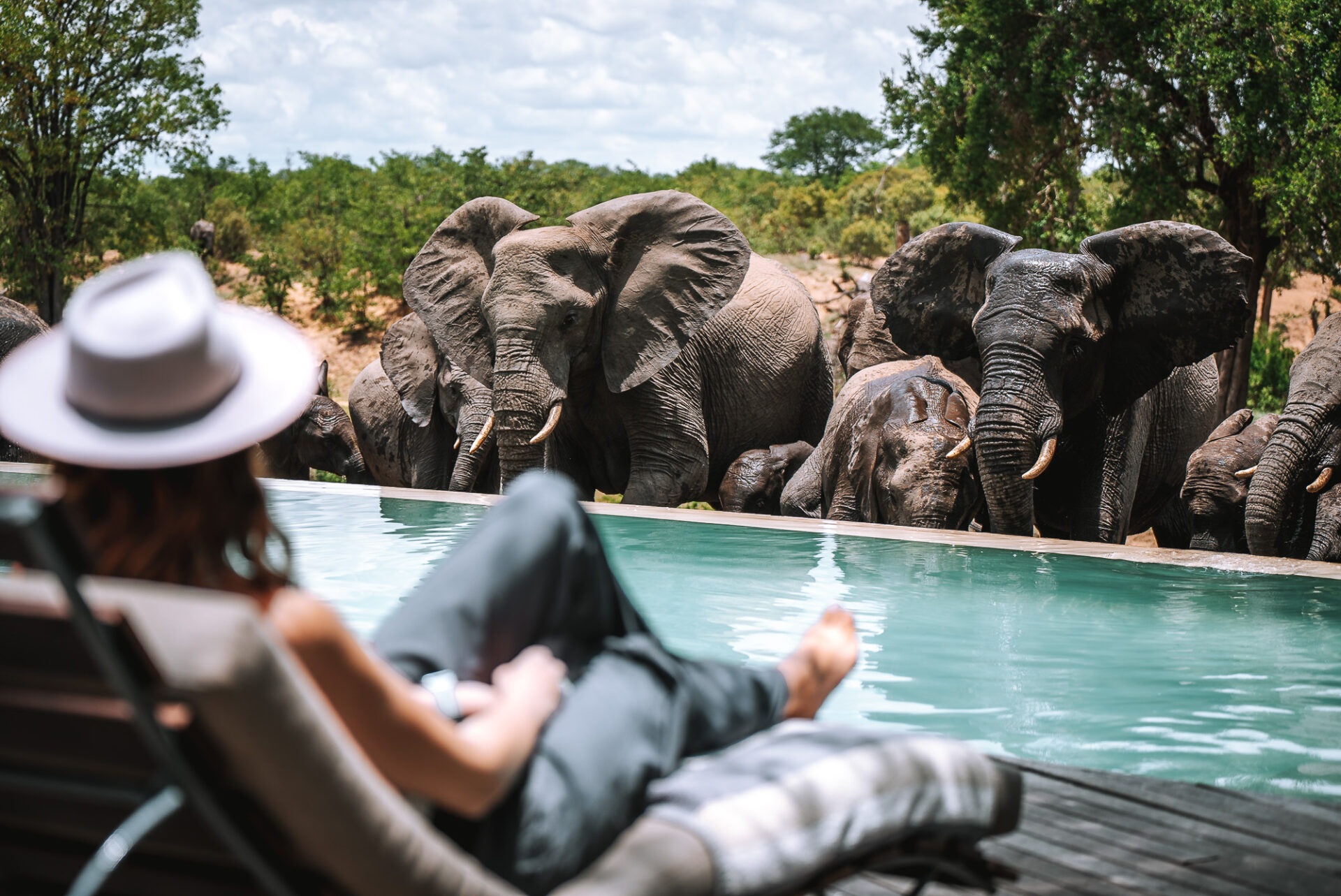 At the pool at Ngala Safari Lodge, safari lodges in South Africa