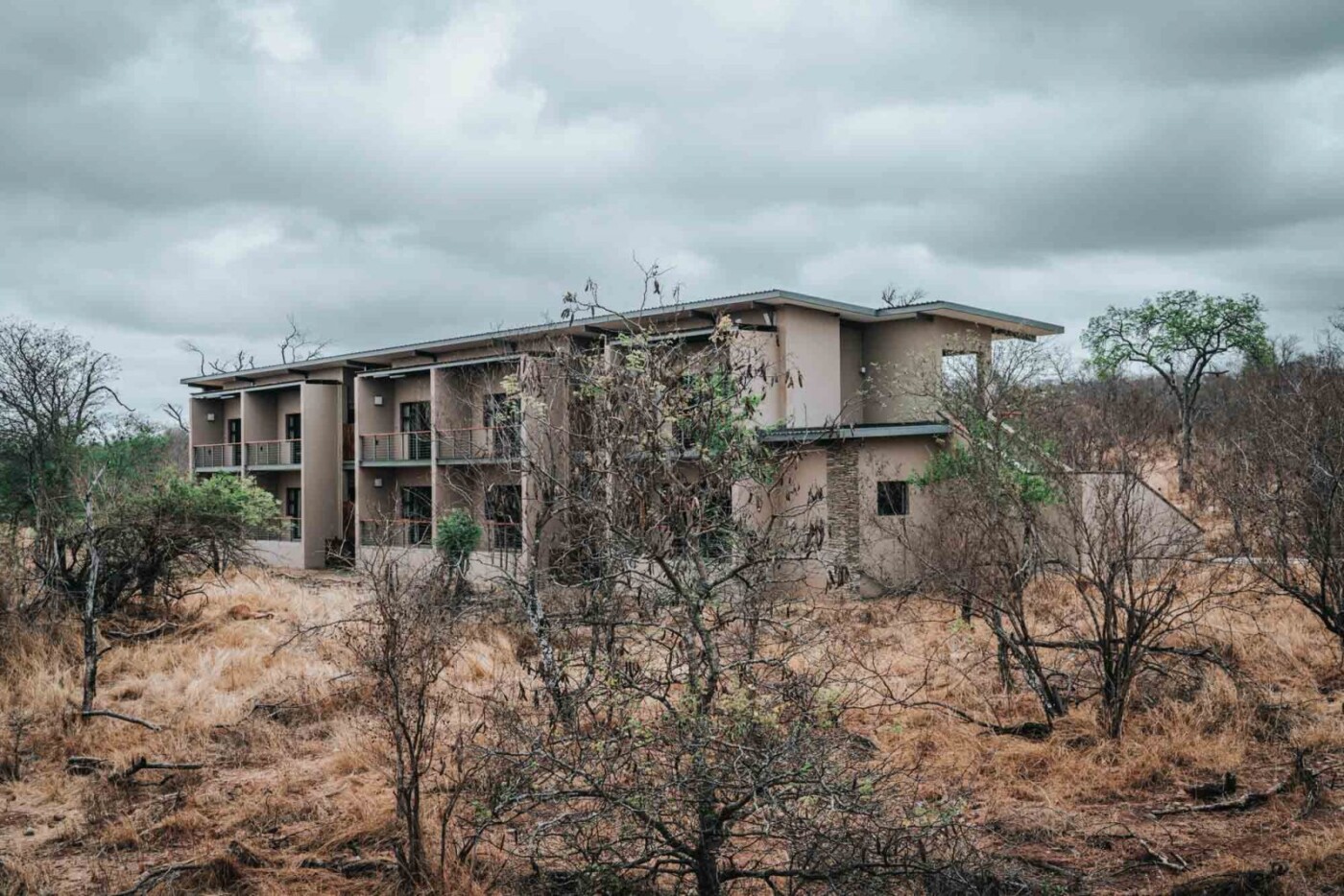 Makalali Lodge, Makalali Private Reserve, Greater Kruger area