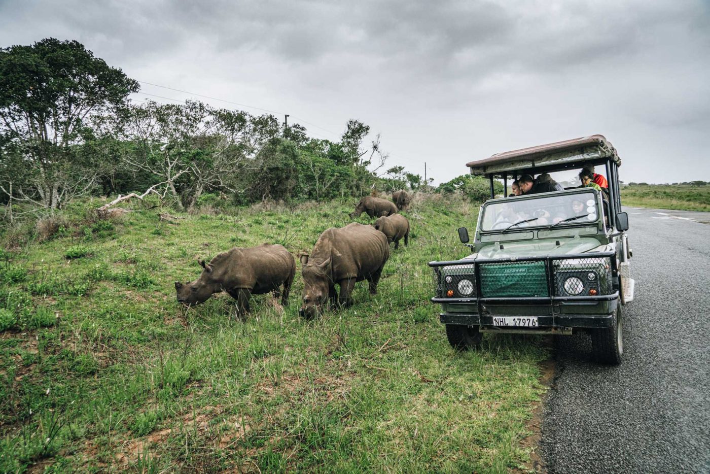 Rhino encounter in iSimangaliso National Park