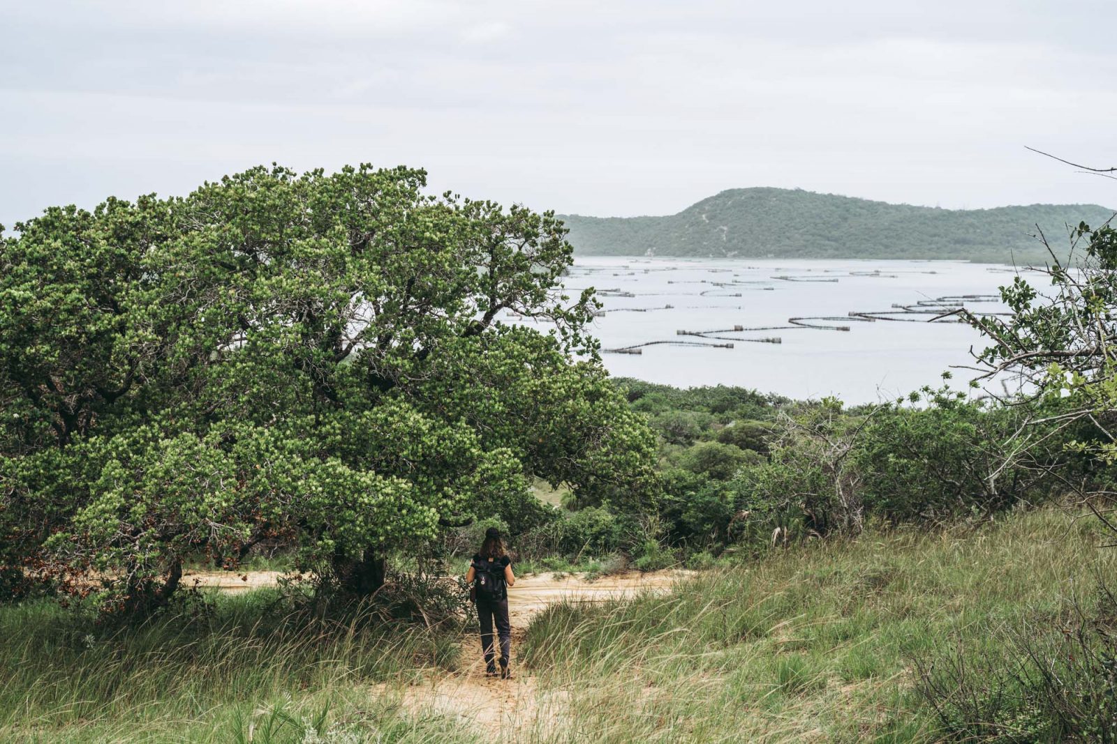 Overlooking Kosi Bay, kosi bay mouth