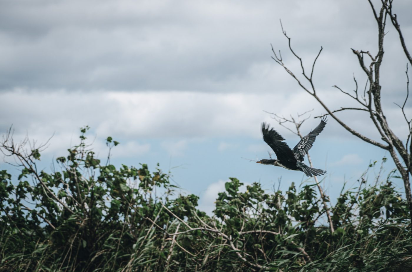 Kosi Bay, iSimangaliso Wetland Park, South Africa