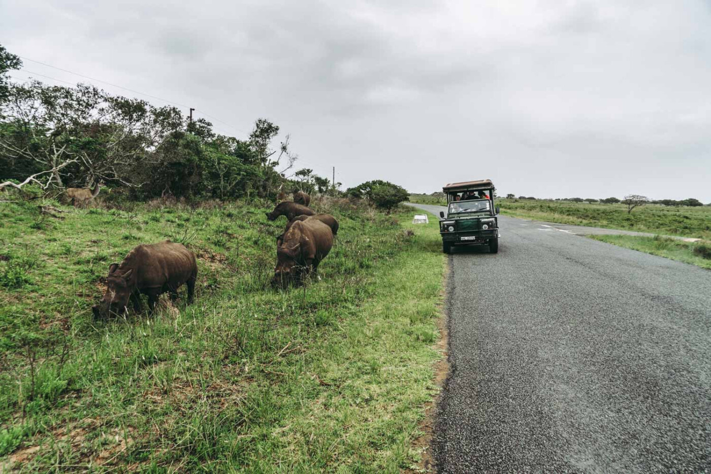 driving in South Africa