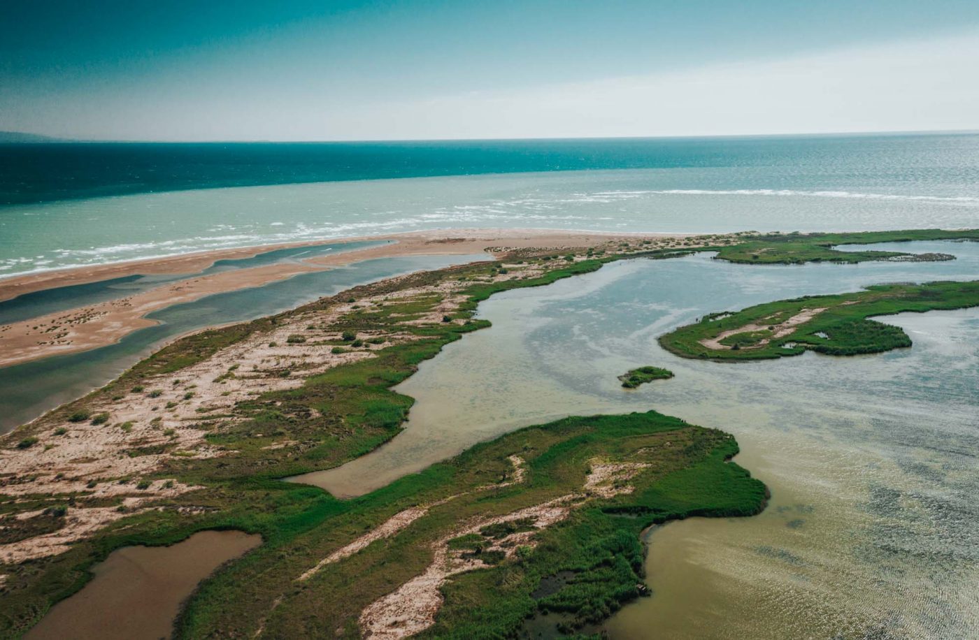 Ebro Delta Natural Park