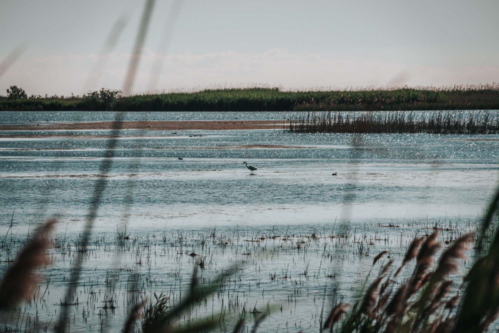 Ebro Delta Natural Park