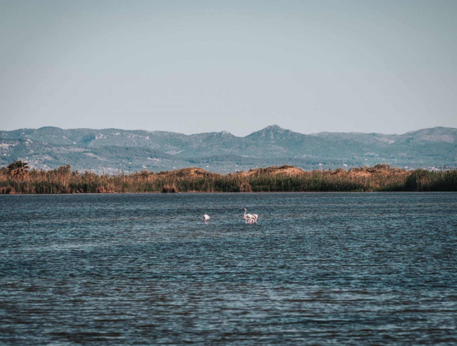 Ebro Delta Natural Park