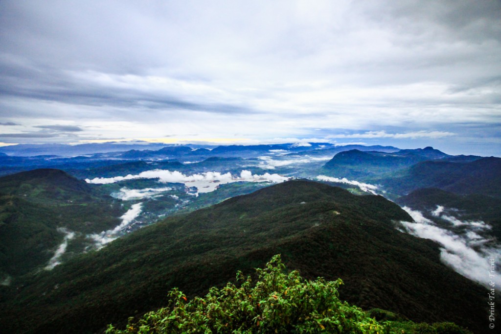 View from Sri Pada (Adam's Peak) just after sunrise. It's a 3-4 hour climb to get up there, but when you are standing at the top of the peak, above the hills and the clouds, every one of those 5,000 steps seems worth it