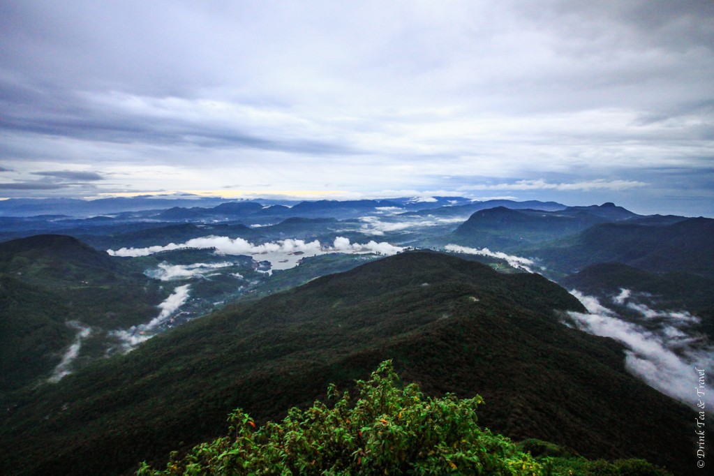 View from the top of Adam's Peak