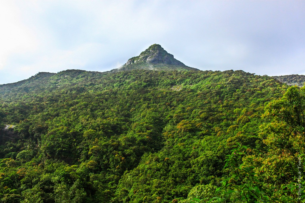 Climb to Adam's Peak: Adam's Peak, a sacred mountain in Sri Lanka