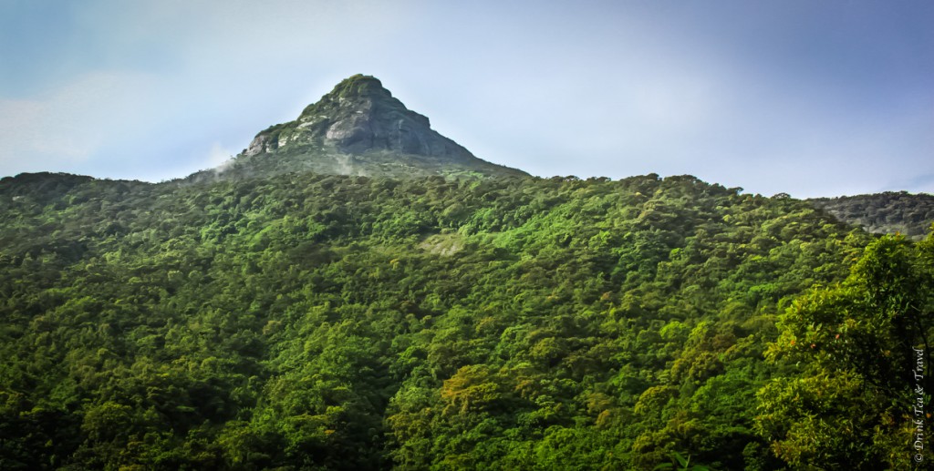 Top Places to Visit in Sri Lanka: Adam's Peak