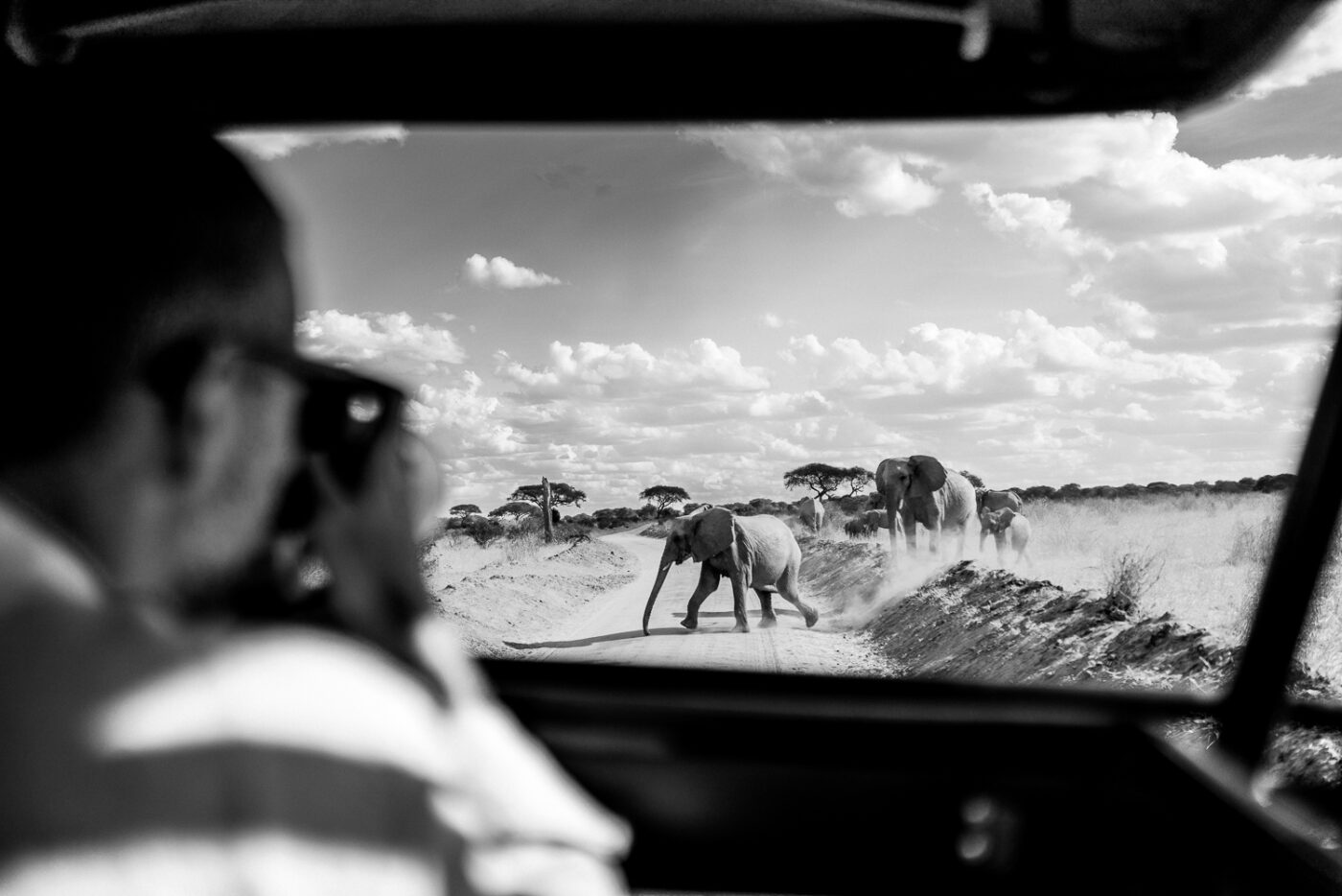Tanzania Lemala Mpingo Ridge safari Max elephants-07719