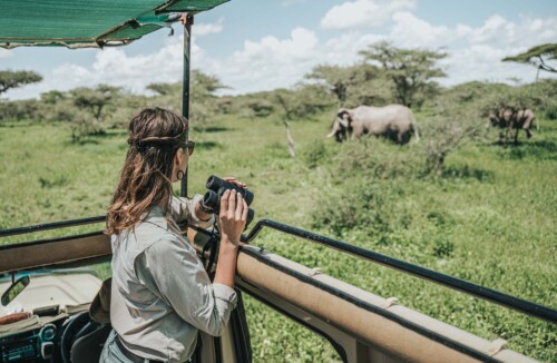 best place for safari in africa