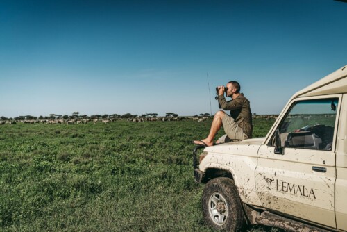 Where to Spot the Big Five in Tanzania