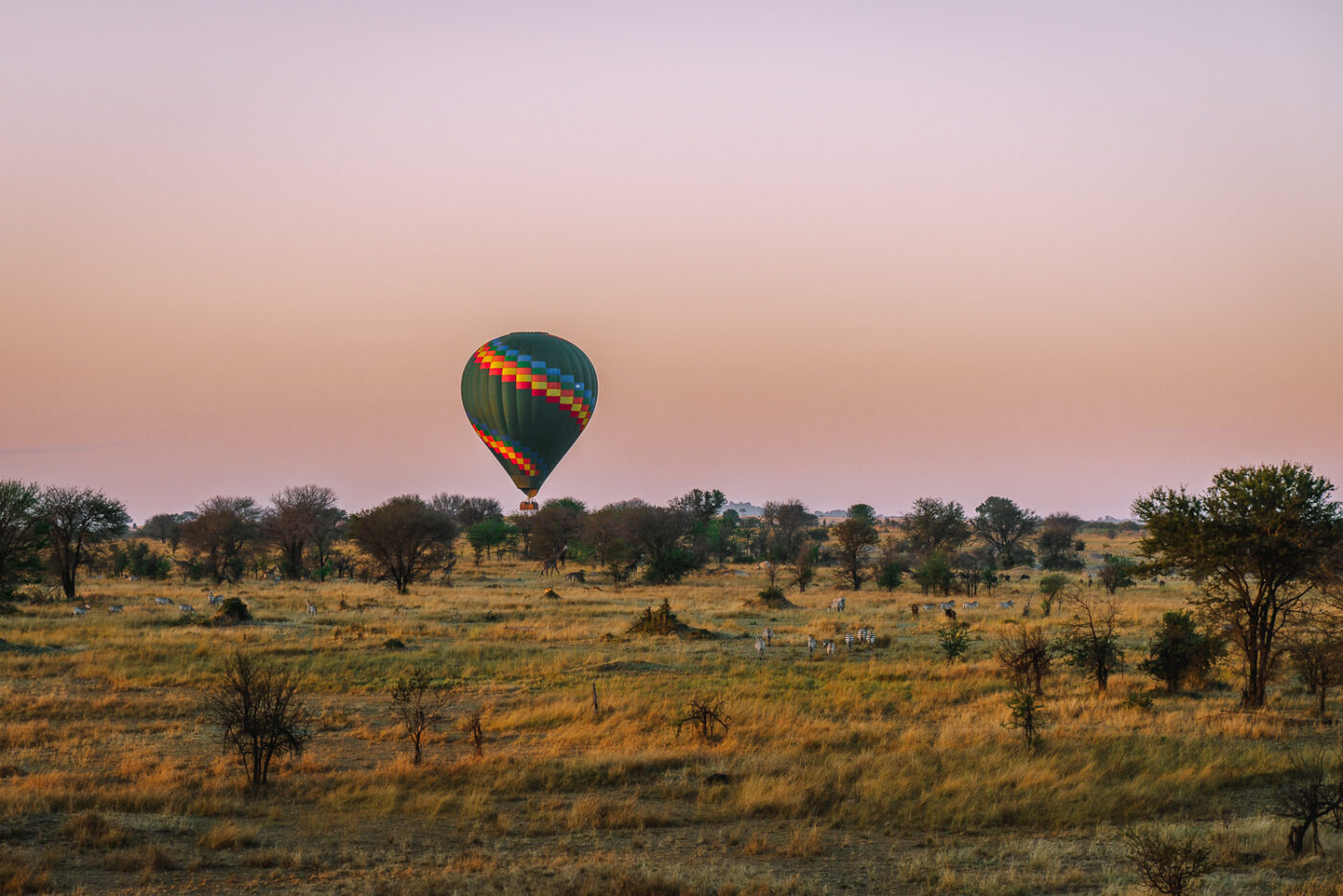 Tanzania Serengeti Mara hot air balloon sunrise-07287