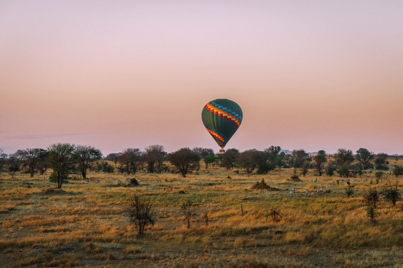 Tanzania Serengeti Mara hot air balloon sunrise V2 07287