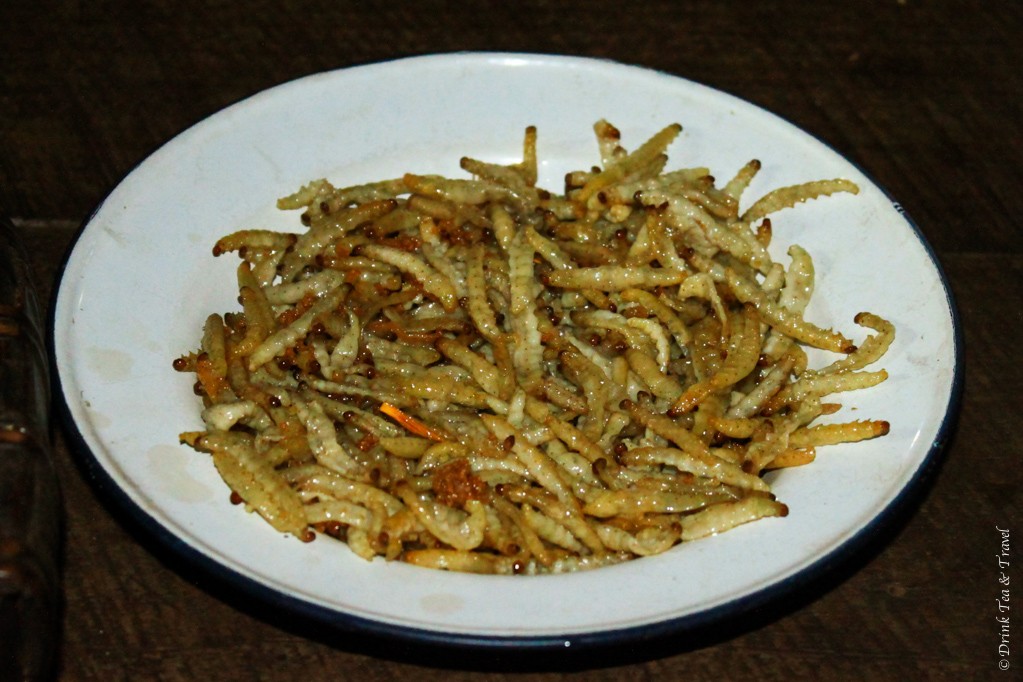 Fried bamboo worms - Northern Thailand delicacy