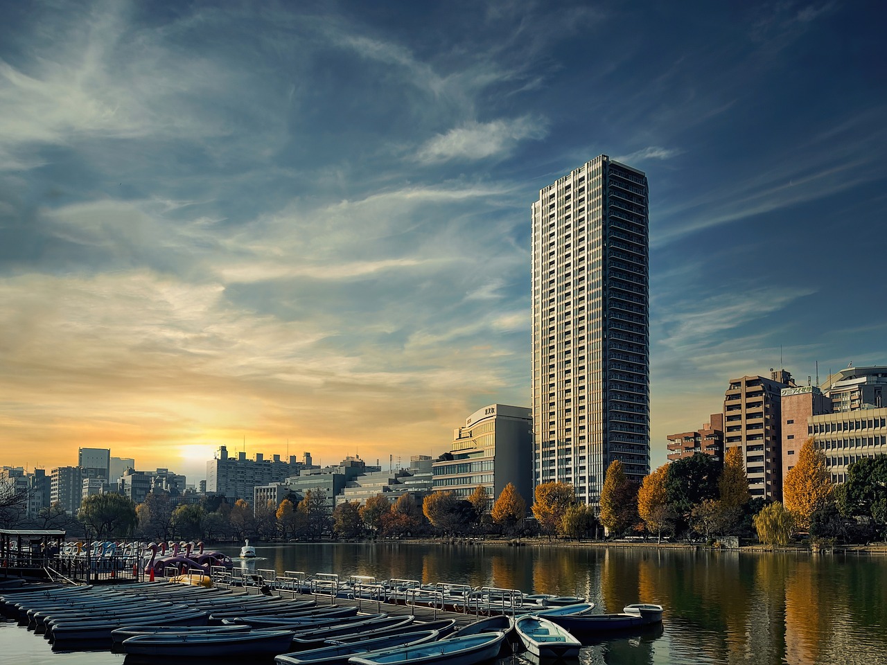 Shinobazu Pond, Ueno Park, Tokyo