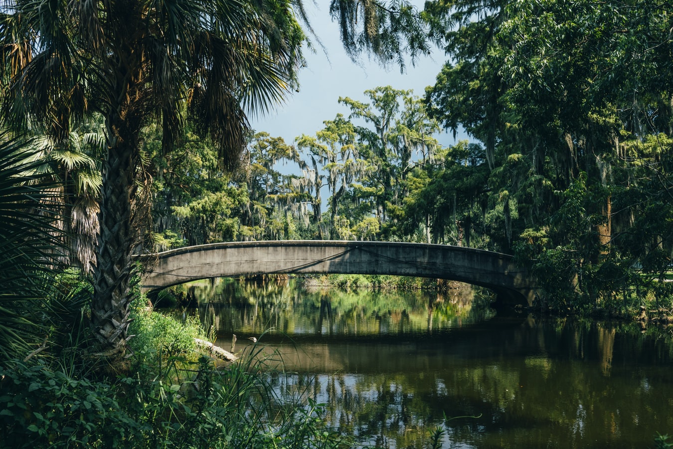 Tropical Bridge City Park NO