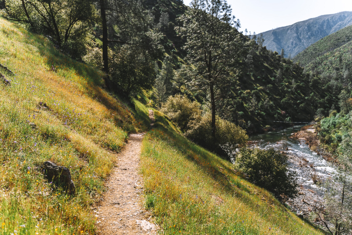 USA California Mariposa County Yosemite Hite Cove hike 09285