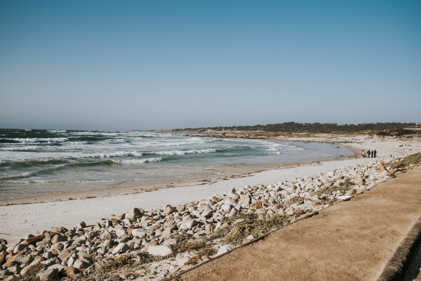 USA California Monterey Asilomar State Beach 08225