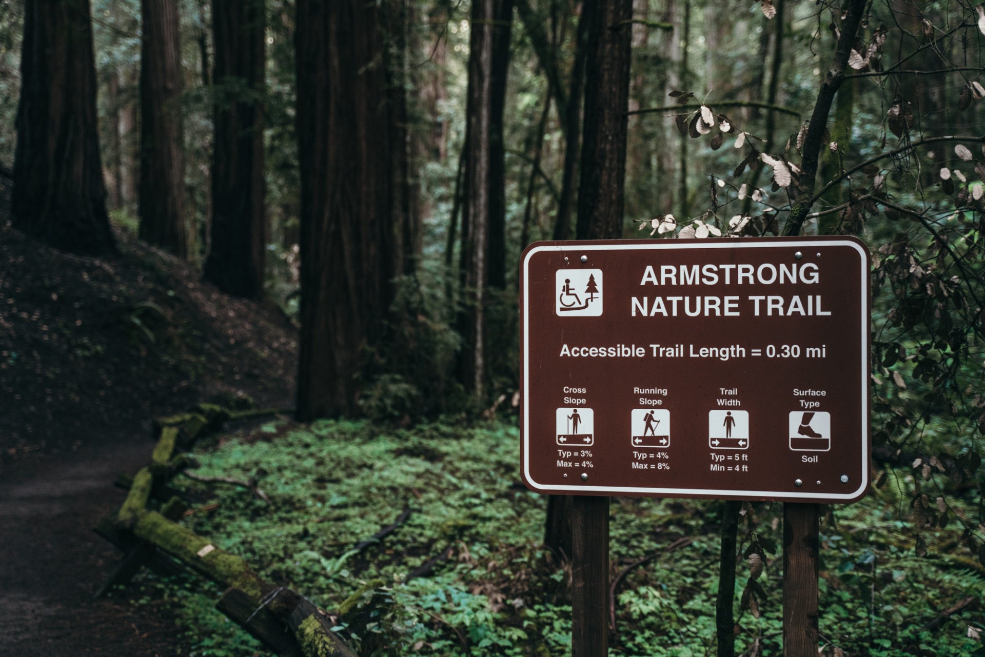 Armstrong Nature Trail at at the Armstrong Redwoods Reserve