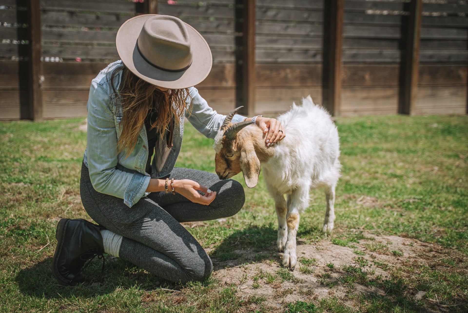 Goatlandia Farm Animal Sanctuary 