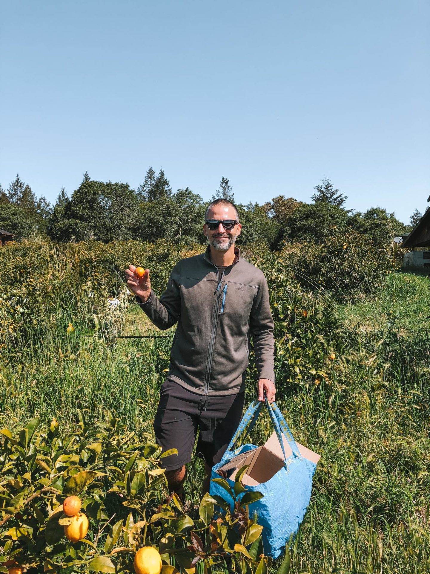 Gleaning with Farm to Pantry
