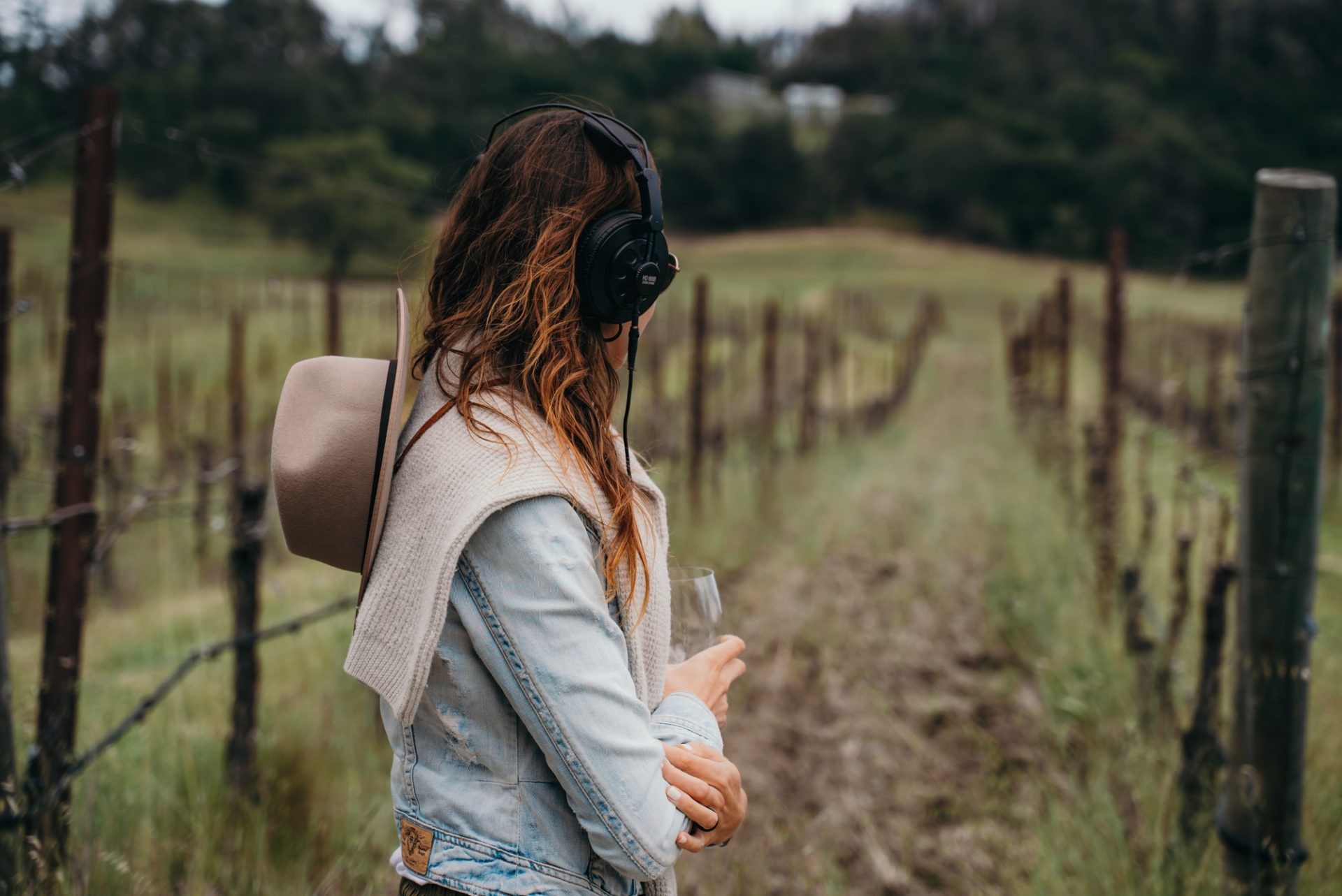 Immersive Sound Experience at Medlock Ames Winery, things to do in sonoma county