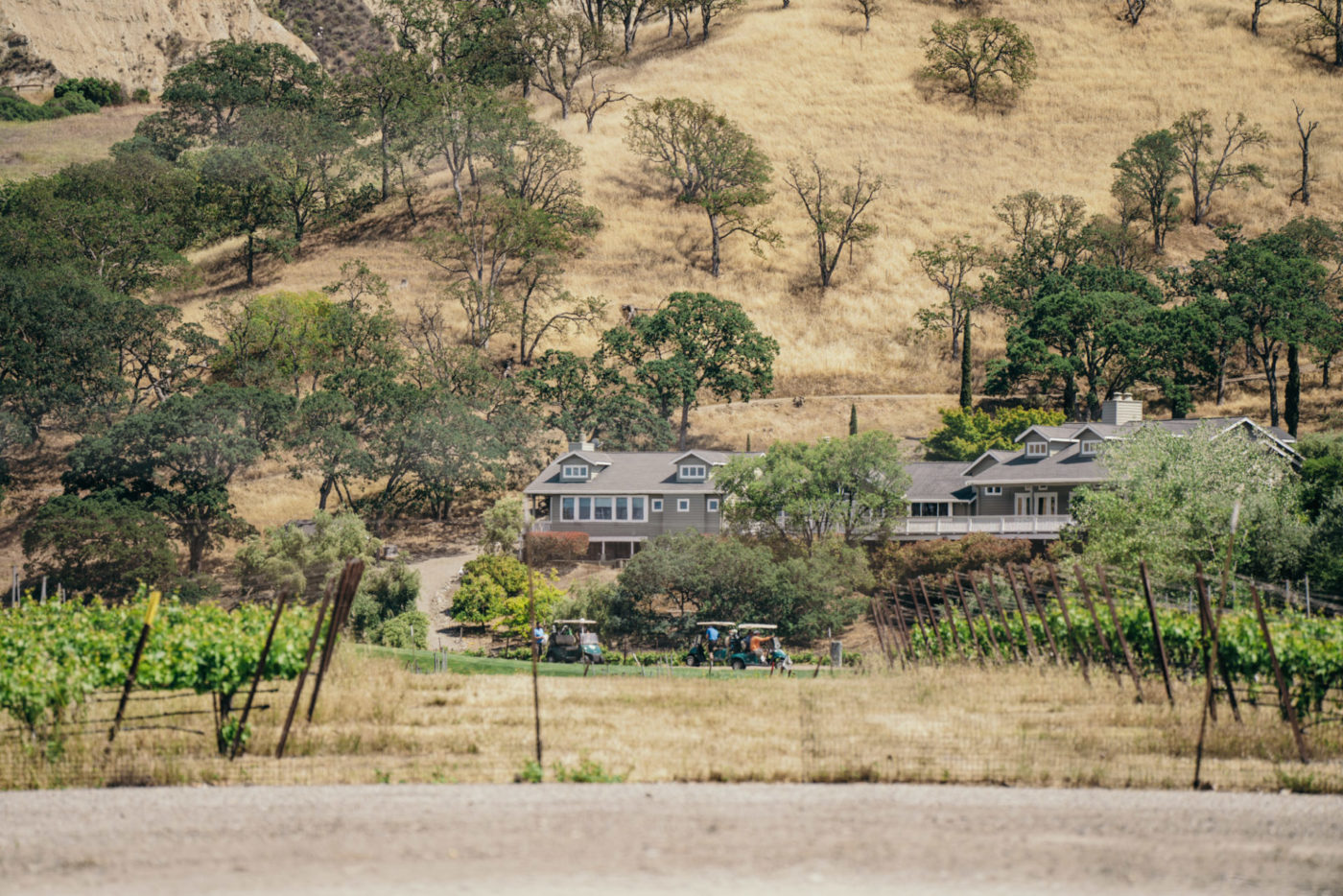 USA California Tri Valley Livermore Wente winery 01329