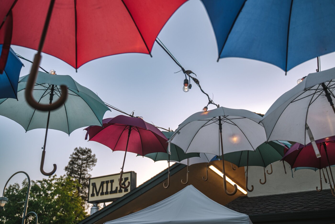 USA California Tri Valley Pleasanton Meadowlark ice cream 07947