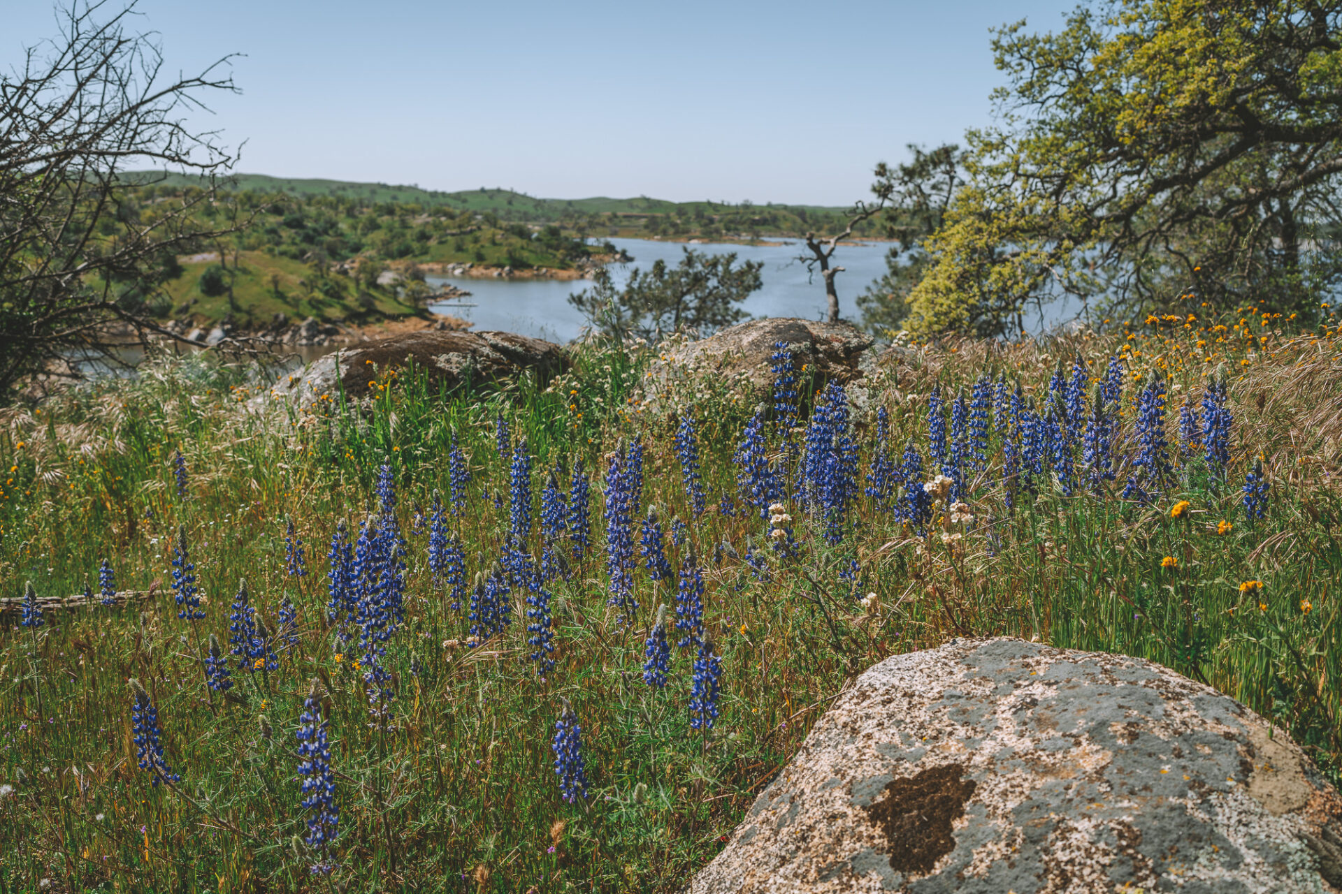 Along the Lakeview Trail at Eastman Lake