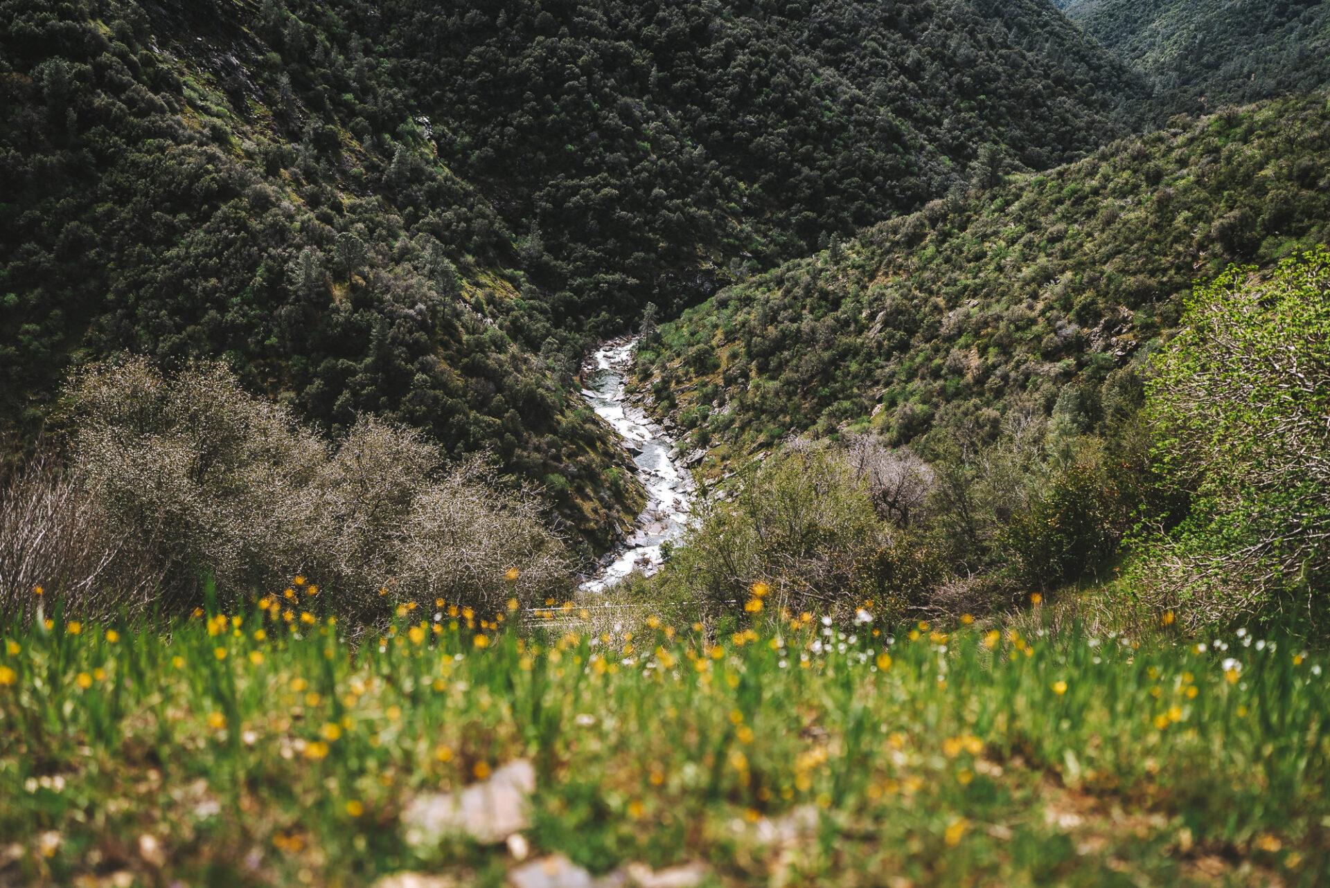 On the Westside Trail in Yosemite, things to do in Yosemite