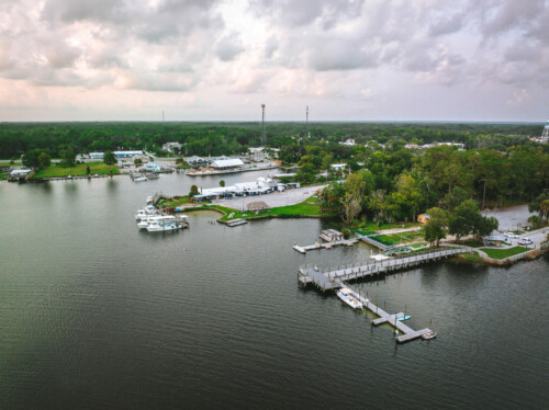 11 Unforgettable Things to do in Crystal River, Florida