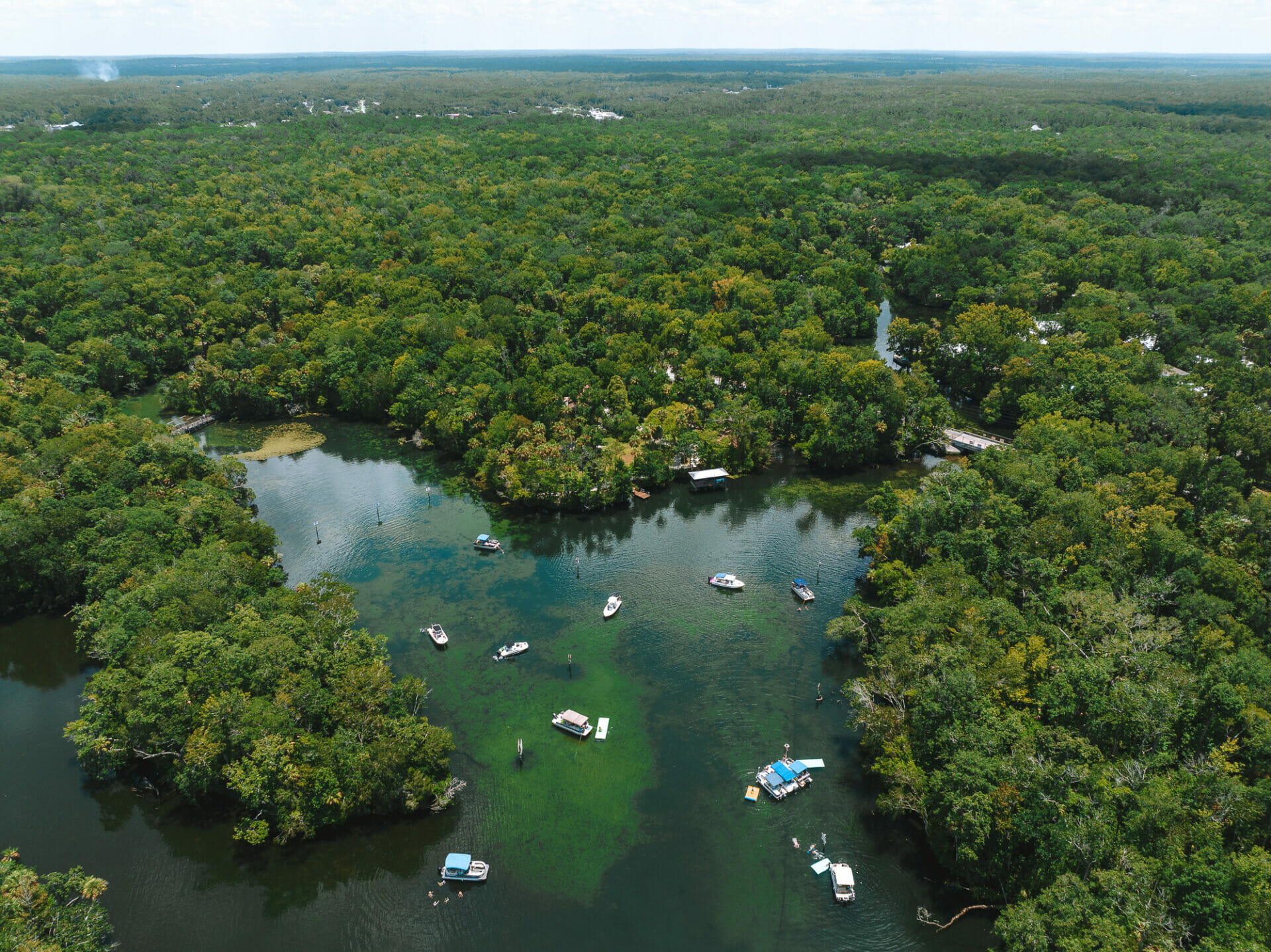 Homosassa Springs, Crystal River