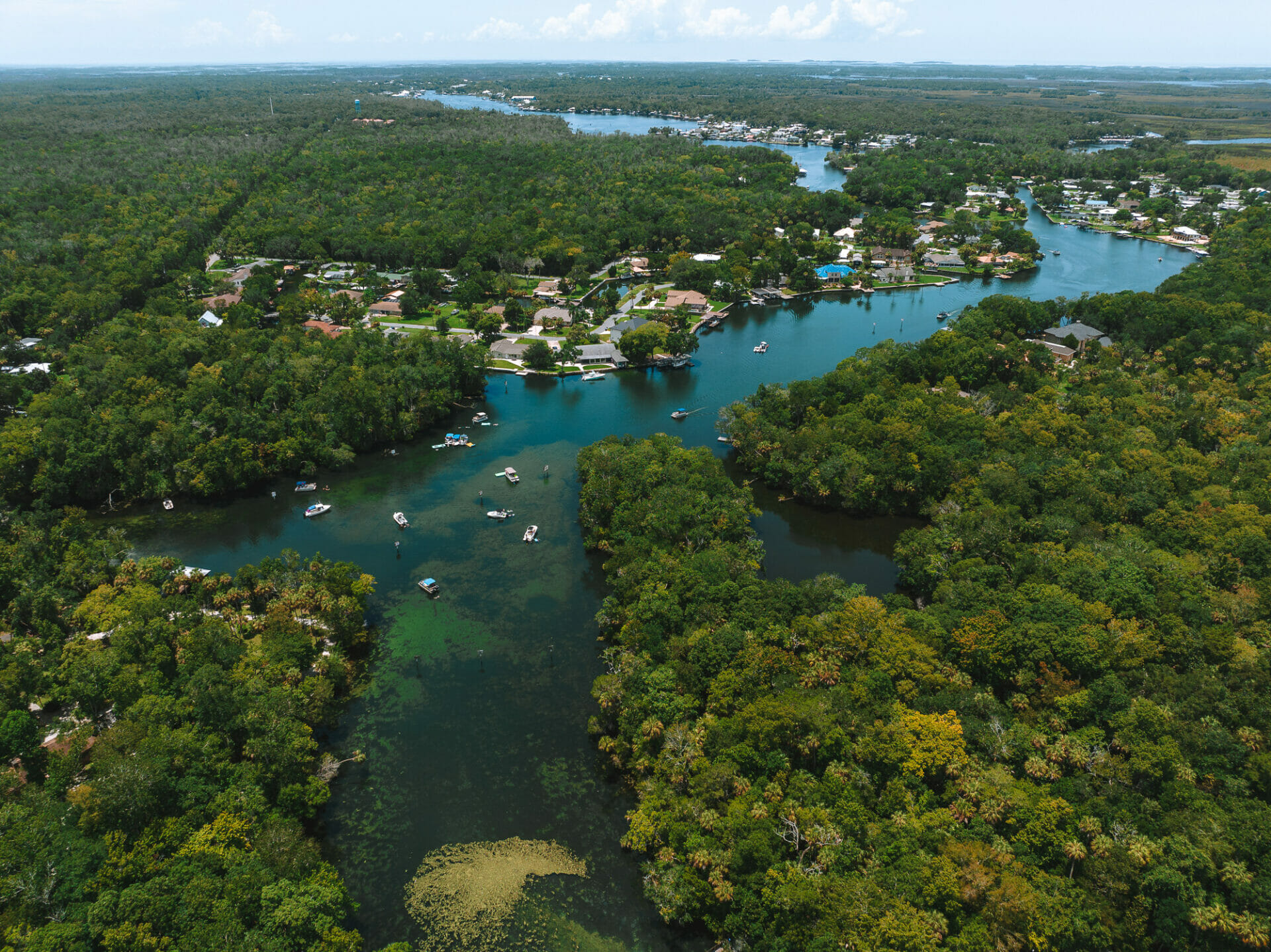 USA Florida Crystal River Homosassa Spings 0493