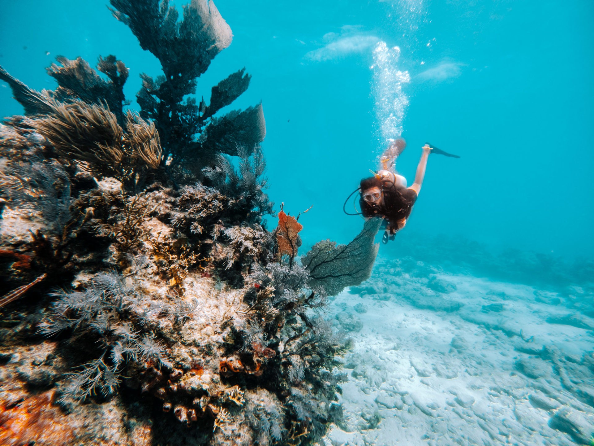 Diving in Florida Keys