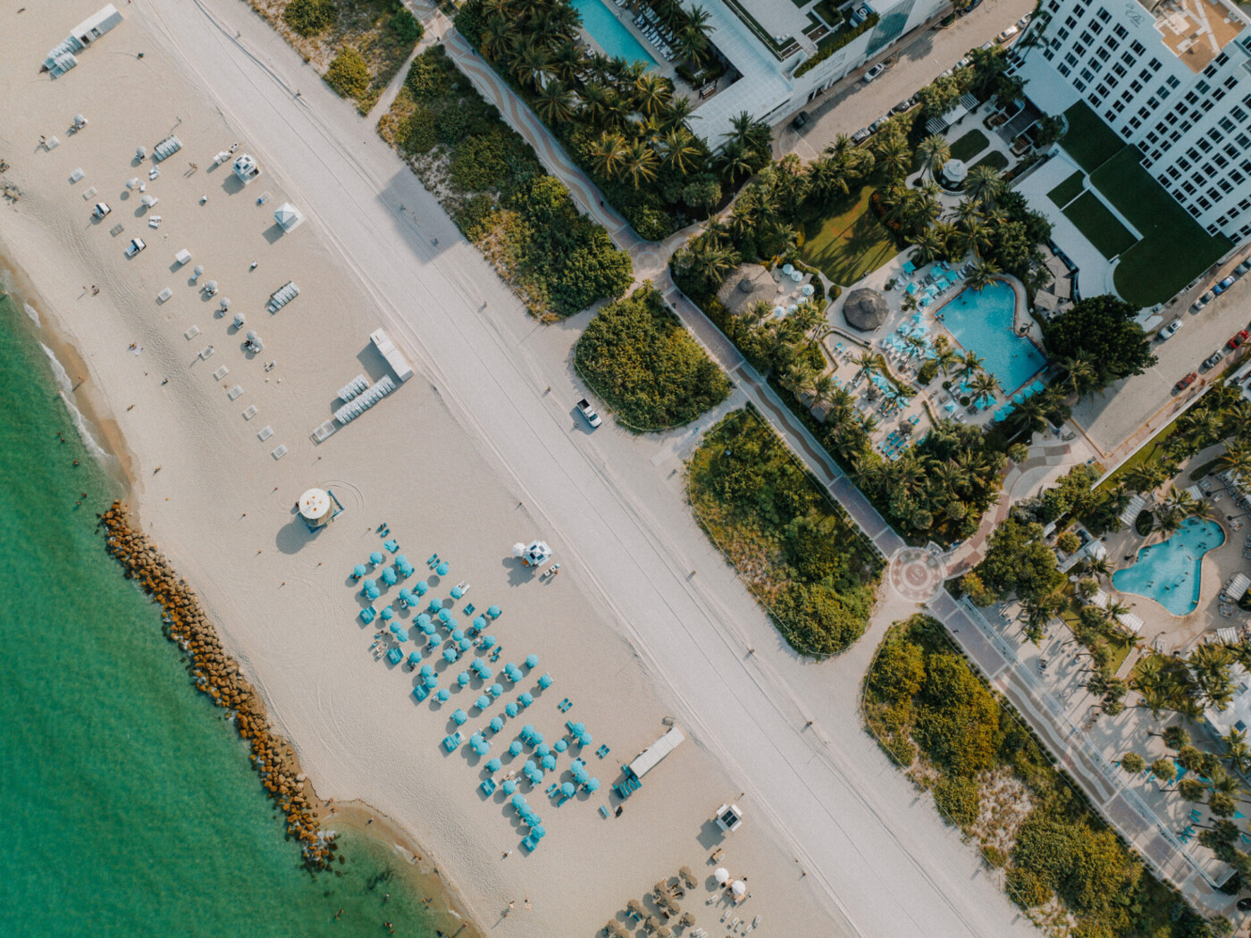 the palms hotel shoreline