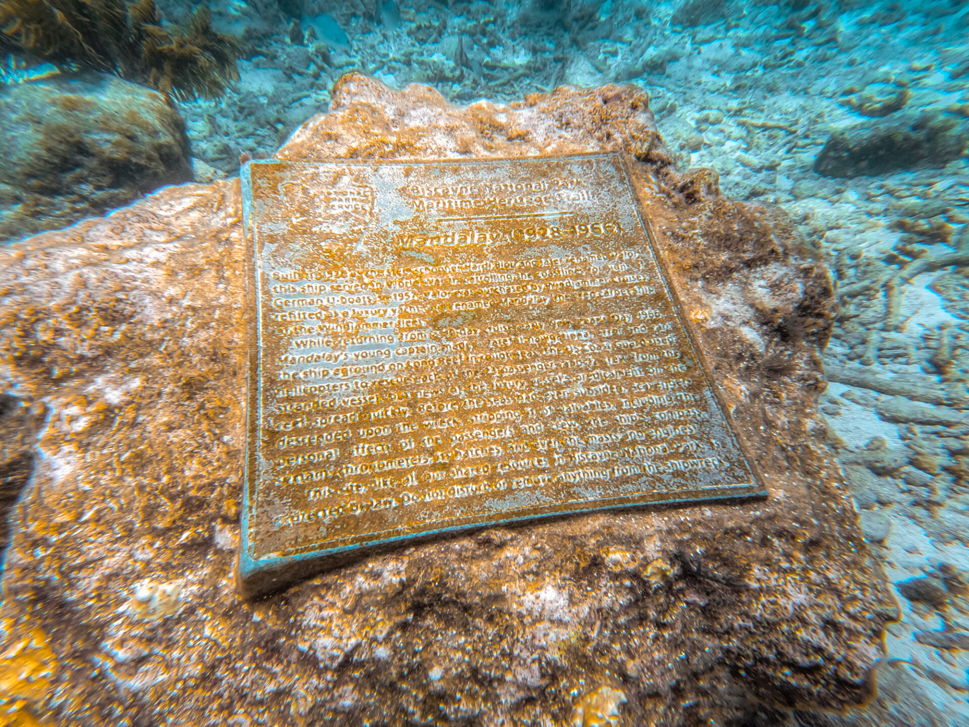 At the bottom of the ocean in Biscayne National Park