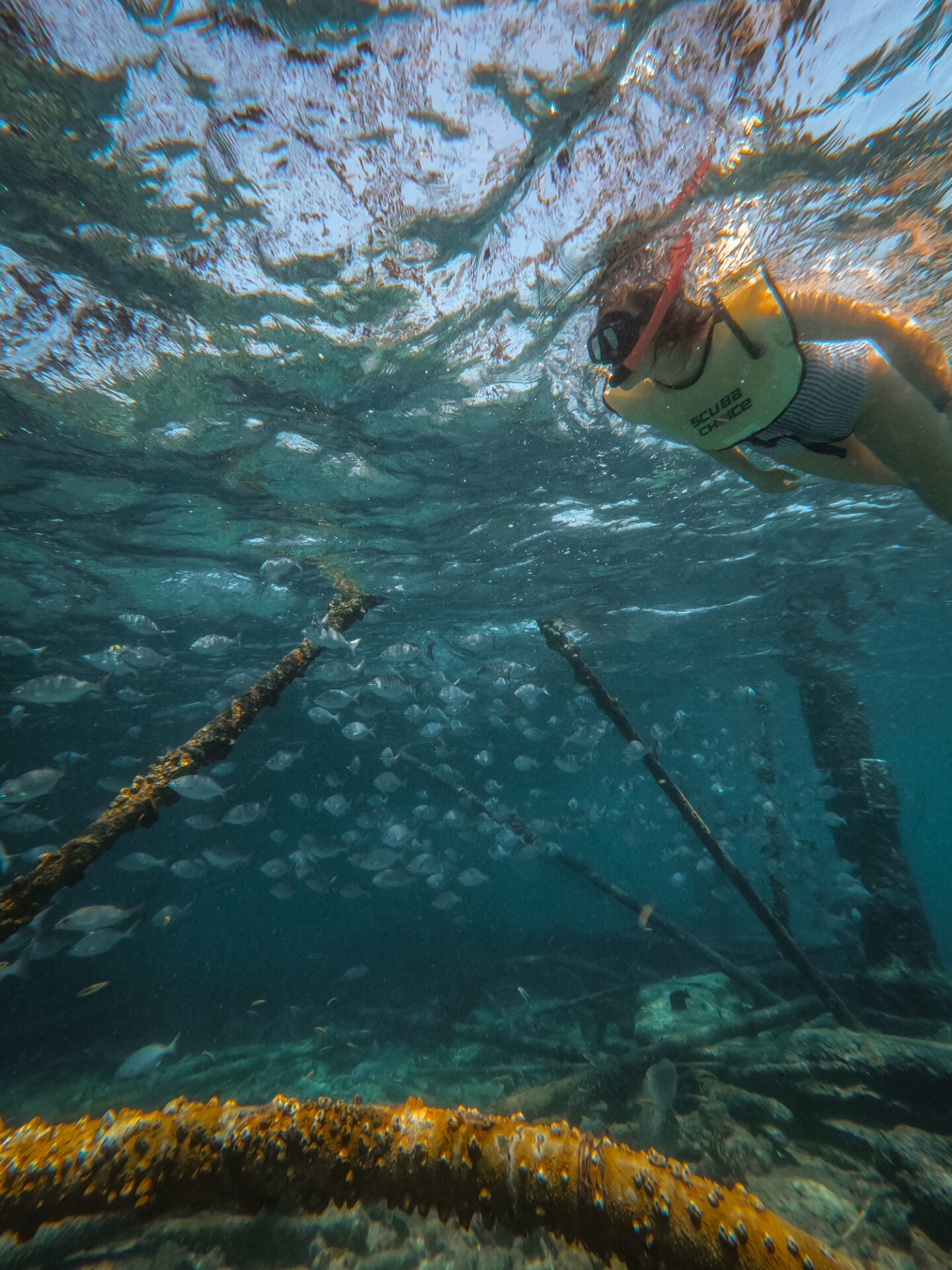 USA Florida Miami Biscayne National Park snorkeling Oksana 0798