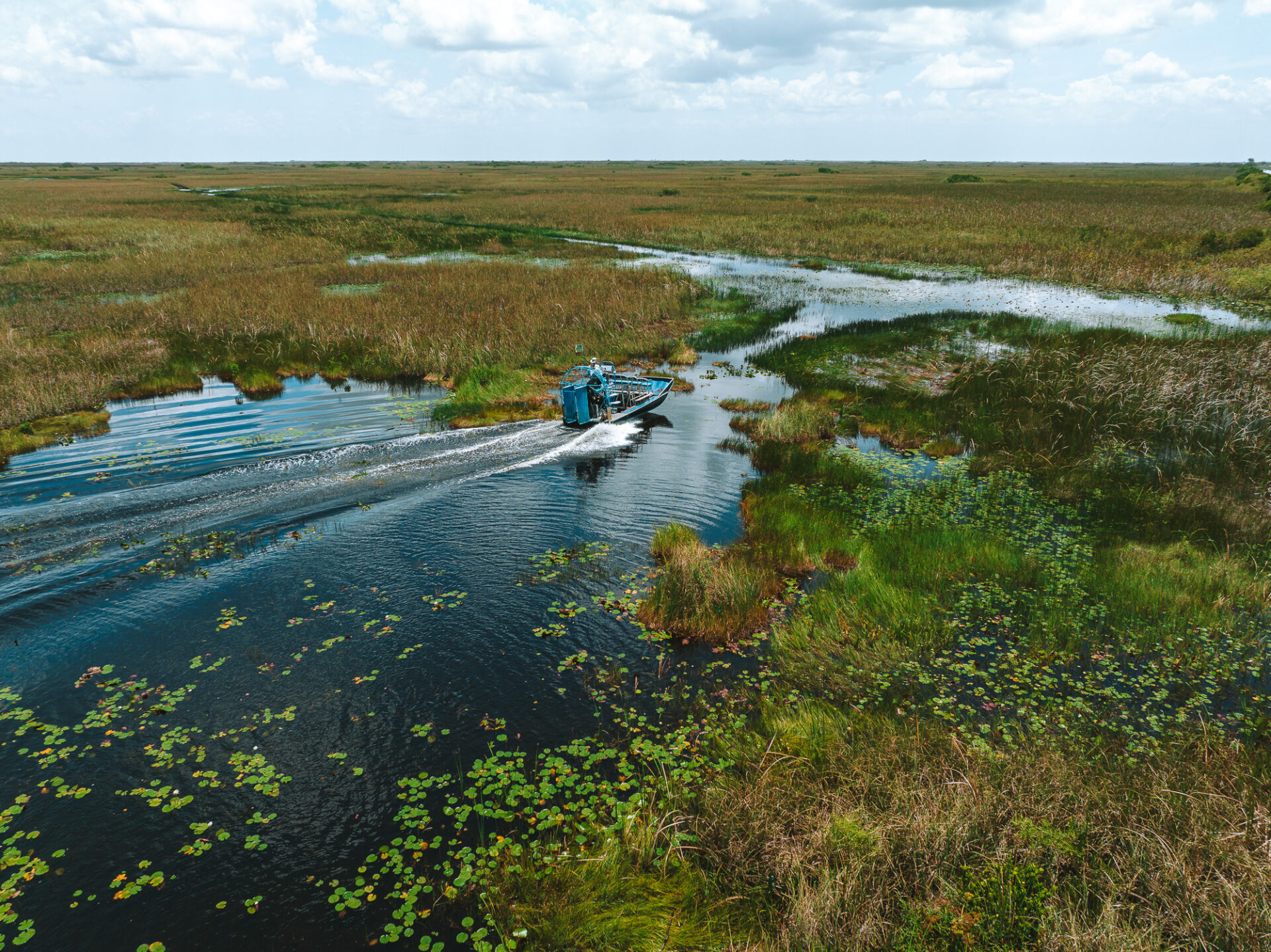 On an airboat tour in the Everglades